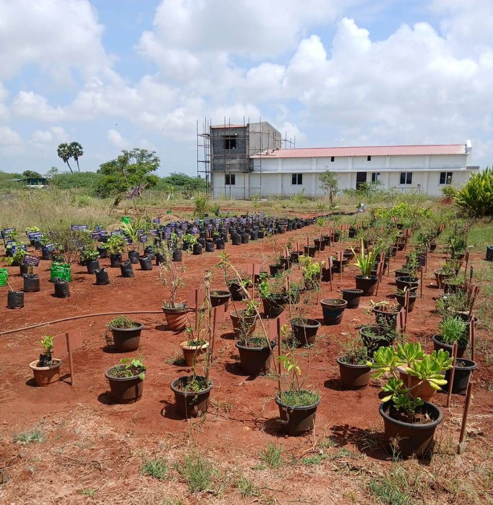 Herbal Garden